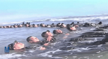 Navy SEAL - Đặc nhiệm tinh nhuệ bậc nhất thế giới