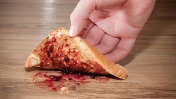 Phát hiện mới: Thức ăn rơi dưới sàn vẫn an toàn trong 5 giây