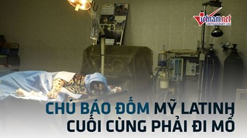 Xót xa trước hình ảnh chú báo đốm Mỹ Latinh cuối cùng trên bàn mổ
