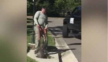 Người đàn ông tay không lôi xềnh xệch cá sấu ra khỏi ống cống