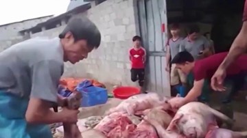 Triệt phá cơ sở chế biến thịt lợn thối thành 'đặc sản hun khói' ở Cao Bằng