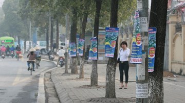 Treo quảng cáo trên cây xanh, cột điện bị phạt 10 triệu đồng