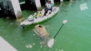 'Quái cá' khổng lồ nặng 250kg cắn câu, suýt làm lật thuyền cần thủ