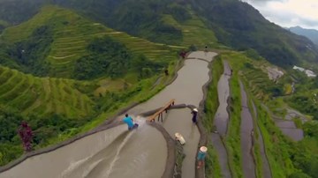 Sự thật clip màn trượt ruộng bậc thang siêu đỉnh ở Mù Cang Chải gây xôn xao