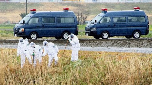 Bé gái bị sát hại ở Nhật: Hung thủ am hiểu địa hình, để lại nhiều tin nhắn