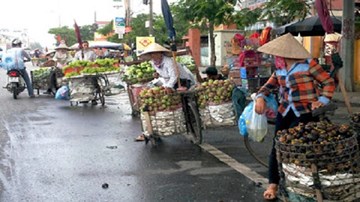 Người bán hàng rong đi đâu sau chiến dịch vỉa hè?