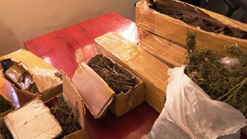 Cận cảnh mua cần sa dễ như... mua rau