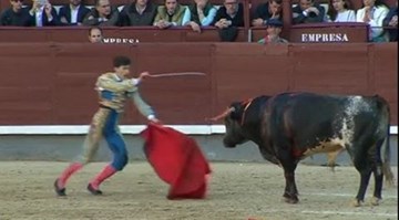 Võ sĩ bị bò tót húc lia lịa ở đấu trường Tây Ban Nha