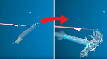 Thấy cảnh đáng sợ khi thả máy quay xuống biển sâu 134m