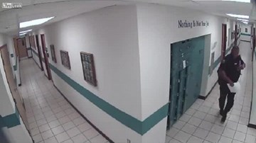 Cảnh sát Mỹ 'hồn xiêu phách lạc' vì con chuột nhắt