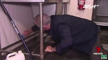 Thủ tướng Australia quỳ gối cọ tường bếp cho dân