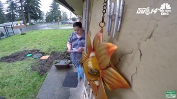 Tên trộm nhí gây xúc động vì gửi thư và đền tiền cho khổ chủ