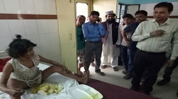 Ấn Độ tìm thấy bé gái sống cùng bầy khỉ trong rừng