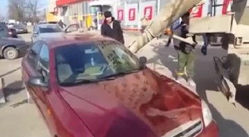 Xe đỗ sai bị đổ đầy bê tông vào ca-bin