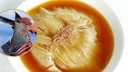 Tận mắt chứng kiến món súp "máu lạnh" nhất thế giới