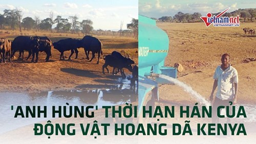 'Anh hùng' thời hạn hán của động vật hoang dã Kenya