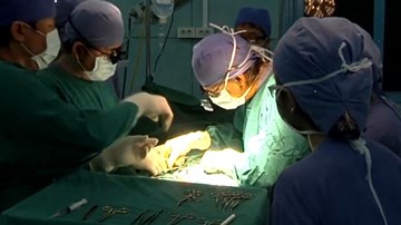 Kỳ lạ người có bộ phận sinh dục nửa nam nửa nữ