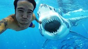 Selfie bên cá mập và loạt trào lưu không phải ai cũng dám thử