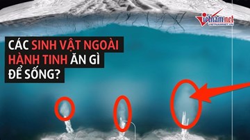 Các sinh vật ngoài hành tinh ăn gì để sống?