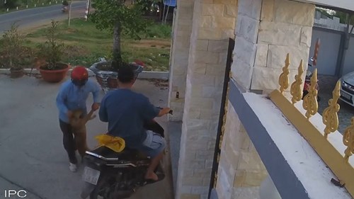 Cận cảnh 'cẩu tặc' bắn súng điện trộm chó gây căm phẫn