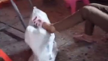 Bé gái bị người thân nhét vào bao tải, đấm đá túi bụi gây phẫn nộ