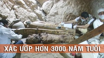 Tận mắt chứng kiến cảnh khai quật xác ướp hơn 3000 năm tuổi