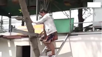 Chỉ vì tranh chấp đất đai, một phụ nữ mang bầu phải… leo lên cây để sống
