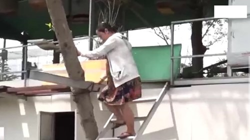 Chỉ vì tranh chấp đất đai, một phụ nữ mang bầu phải… leo lên cây để sống