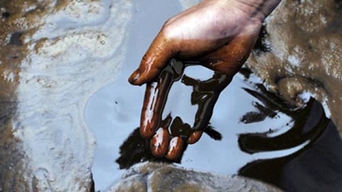 Trung Quốc: Chủ nhà hàng đi tù vì nấu ăn bằng dầu vớt từ ống cống