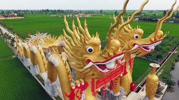 Đôi rồng khổng lồ dẫn vào điện thờ giữa ruộng lúa Thái Bình