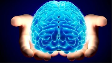 7 sự thật thú vị về cơ thể người