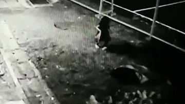 Giật mình khoảnh khắc bé 4 tuổi rơi xuống cống chết thương tâm