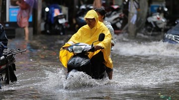 Cây đổ, đường ngập ở Hà Nội sau cơn mưa ngắn