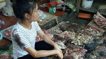 Vụ người bán thịt lợn giá rẻ bị ném chất thải: Có thể xử lý hình sự