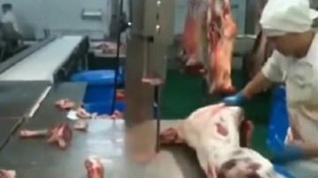 Màn cắt thịt dê nhanh 