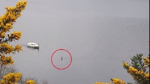'Thủy quái' hồ Loch Ness bơi lững lờ gây sốc