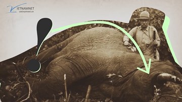 Trong số các Tổng thống Mỹ, ai thực sự là 'vua săn bắn'?