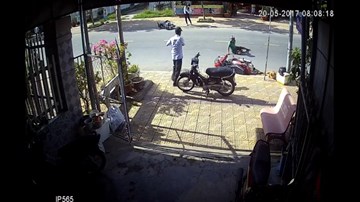 Chó chạy rông gây tai nạn liên hoàn trên đường giao thông