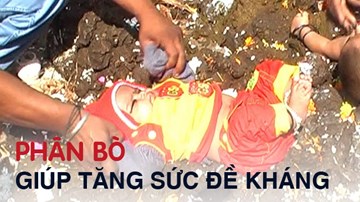 Kỳ lạ tục ném trẻ vào phân bò để tăng sức đề kháng
