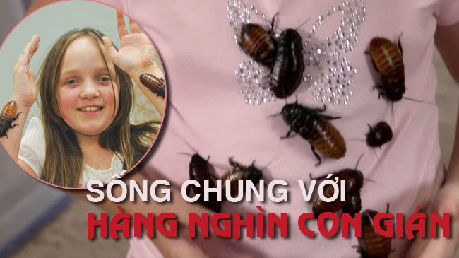 Cô bé nuôi hàng nghìn con gián làm thú cưng