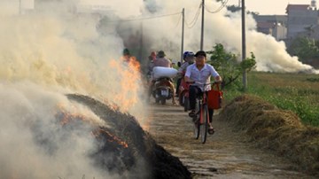 Ngộp thở vì khói đốt rơm rạ bủa vây ngoại thành Hà Nội