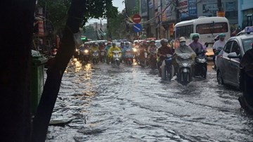 Dân Thủ đô vỡ òa vui sướng sau cơn mưa 'vàng'