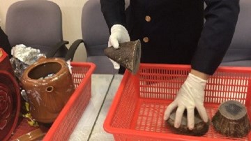 Vụ vận chuyển sừng tê giác trắng trị giá gần 8 tỷ được ngụy trang thế nào?