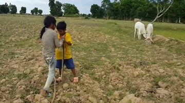 Lạnh sống lưng xem trẻ em tay không bắt rắn mưu sinh