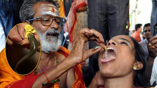 Ấn Độ: Nuốt cá sống - cách chữa bệnh suyễn kỳ quặc mà hiệu quả