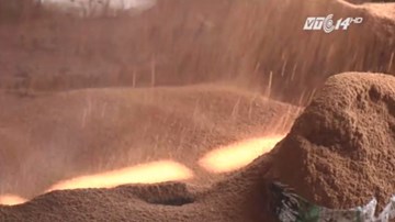 Nông dân đổi đời, kiếm tiền tỷ nhờ tận dụng 'rác' của quả dừa