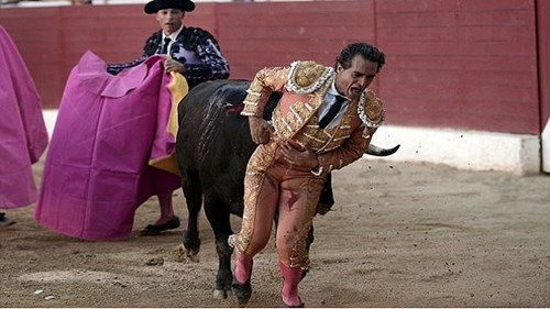 Khoảnh khắc bò tót nổi điên, húc thủng bụng đấu sĩ nổi tiếng