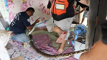Vừa được giải cứu, trăn khổng lồ lập tức cắn ân nhân