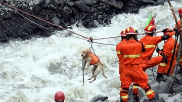 Lở đất ở Tứ Xuyên: Đội cứu hộ chạy đua với thời gian tìm người mất tích
