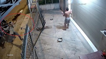 Trộm chó bị phát hiện, hung hăng chĩa súng điện dọa chủ nhà